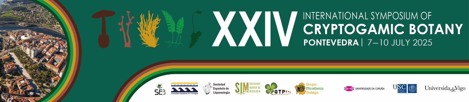 banner-superior